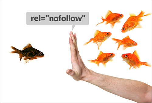 nofollow-tag-guide-5665
